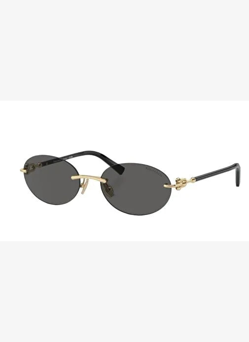 Tiffany & Co. TF3104D 6216/S4 Güneş Gözlüğü