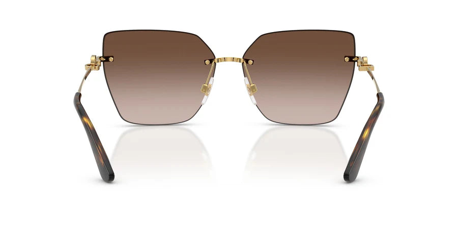Dolce & Gabbana DG 2321 02/13 62