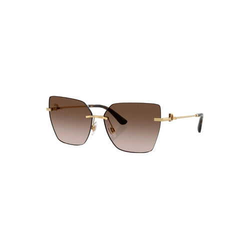 Dolce & Gabbana DG 2321 02/13 62