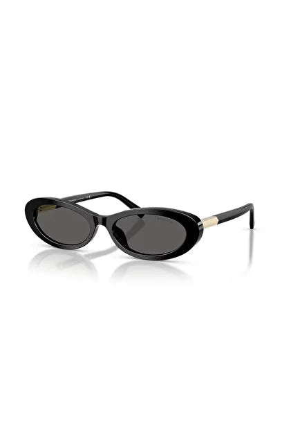Tiffany & Co. TF4250 8001/S4 Güneş Gözlüğü