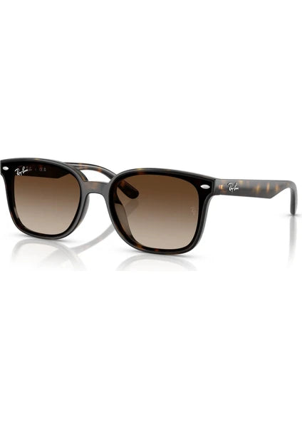 Ray-Ban RB 4461D 710/13 64