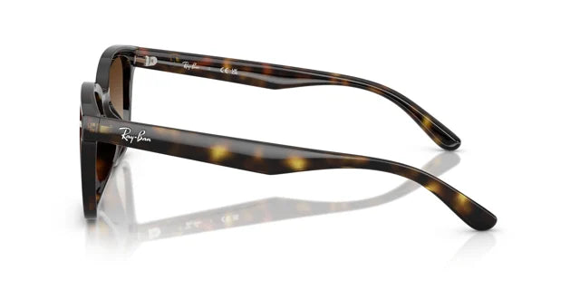 Ray-Ban RB 4461D 710/13 64