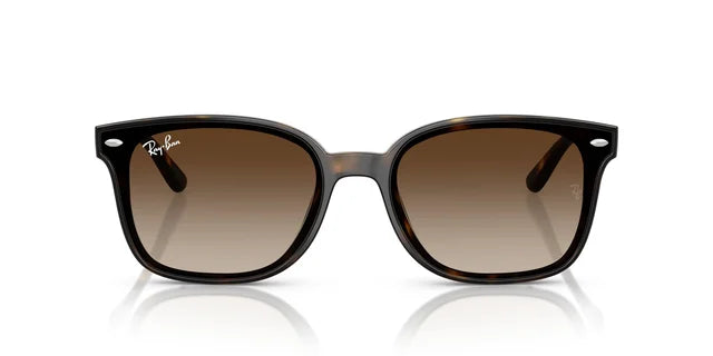 Ray-Ban RB 4461D 710/13 64