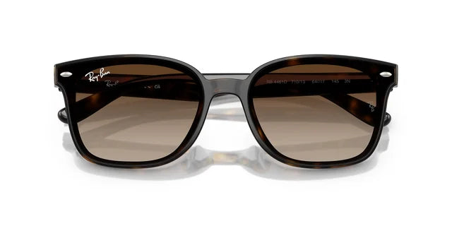 Ray-Ban RB 4461D 710/13 64