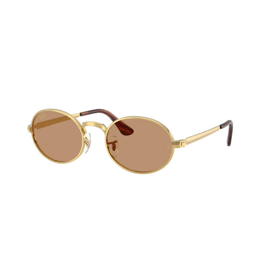 Ray-Ban ASAP ROCKY RB3931 001/53 54 Güneş Gözlüğü