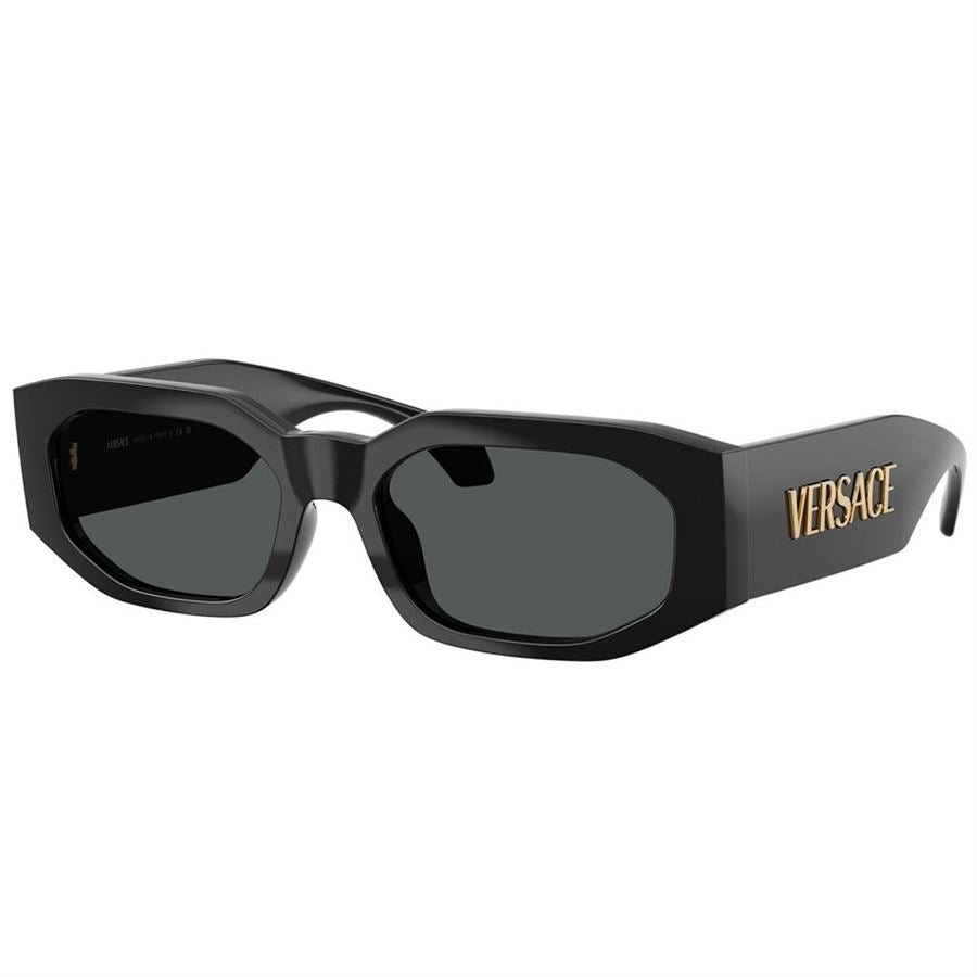 Versace VE4489U GB1/87 55 Enjeksiyon Erkek Güneş Gözlüğü
